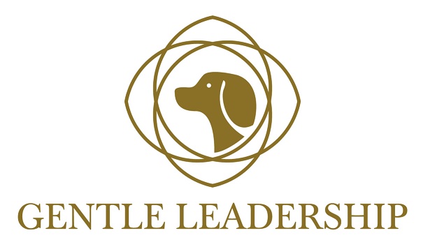 Gentle Leadership mit Hund