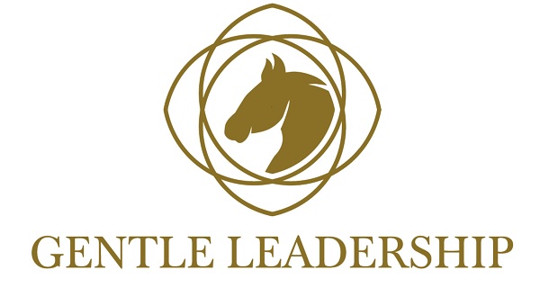 Gentle Leadership mit Pferd